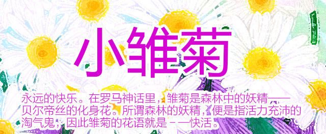 自个模特图