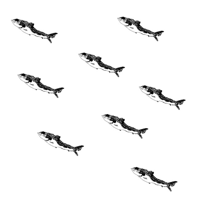 自个模特图