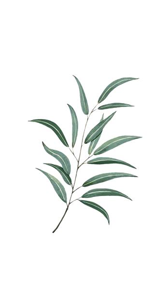 手机壳