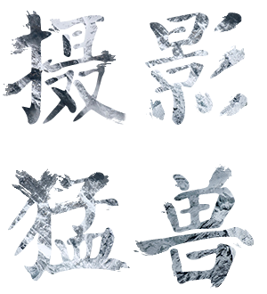 T恤