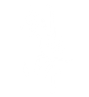 T恤