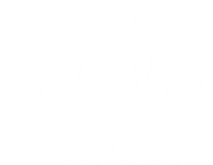 T恤
