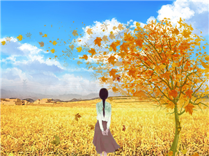 帆布袋