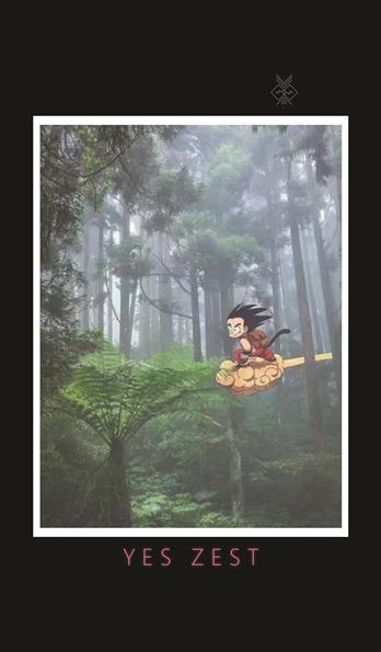 手机壳