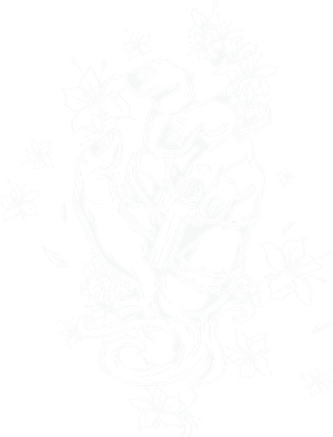 卫衣