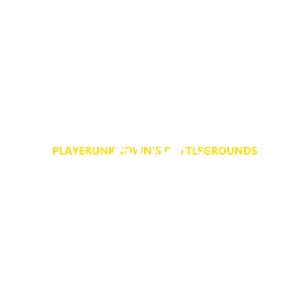 T恤
