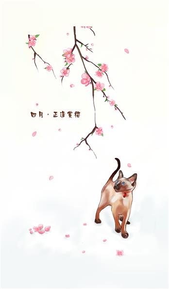 手机壳