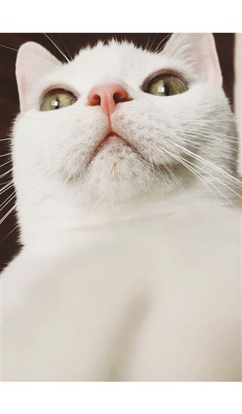 手机壳
