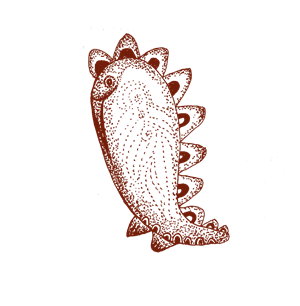 帆布袋