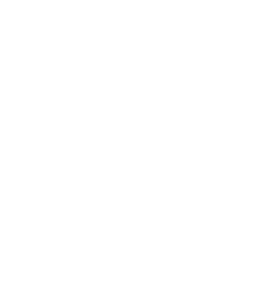卫衣
