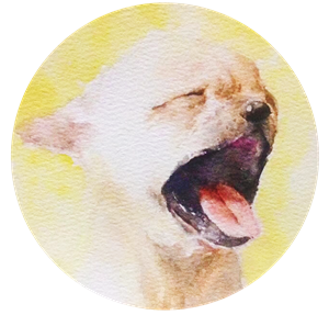 束口袋