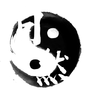 T恤