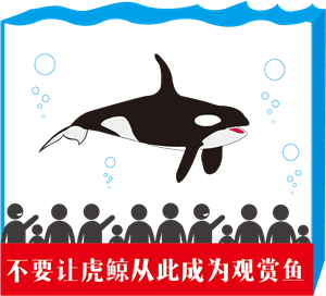 T恤