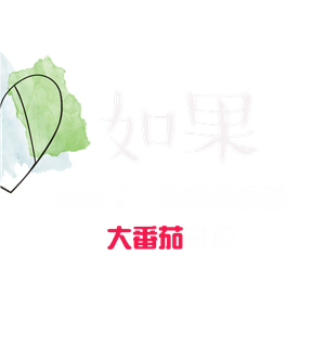 T恤