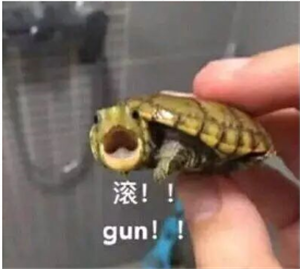 T恤