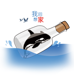 T恤
