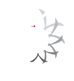 T恤