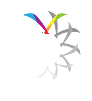 T恤