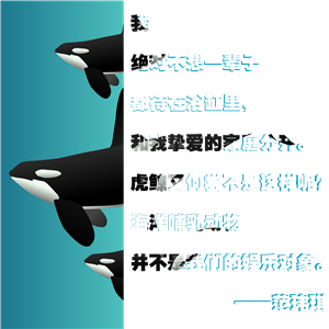 T恤