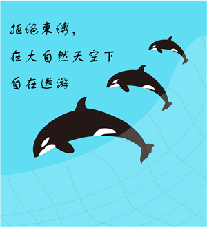 T恤