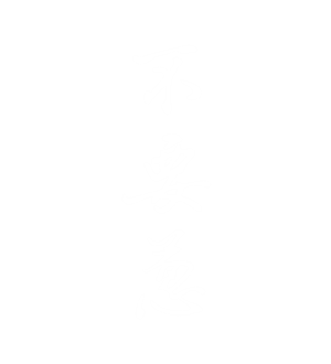 T恤