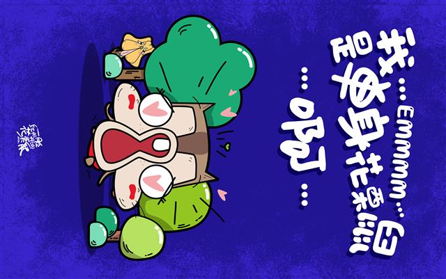 明信片正面预览