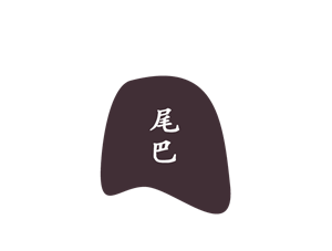 T恤