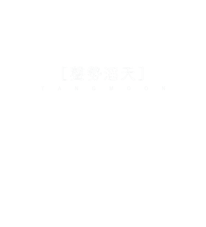 T恤