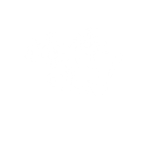 海峡汉字参数作品