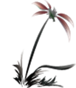 帆布袋